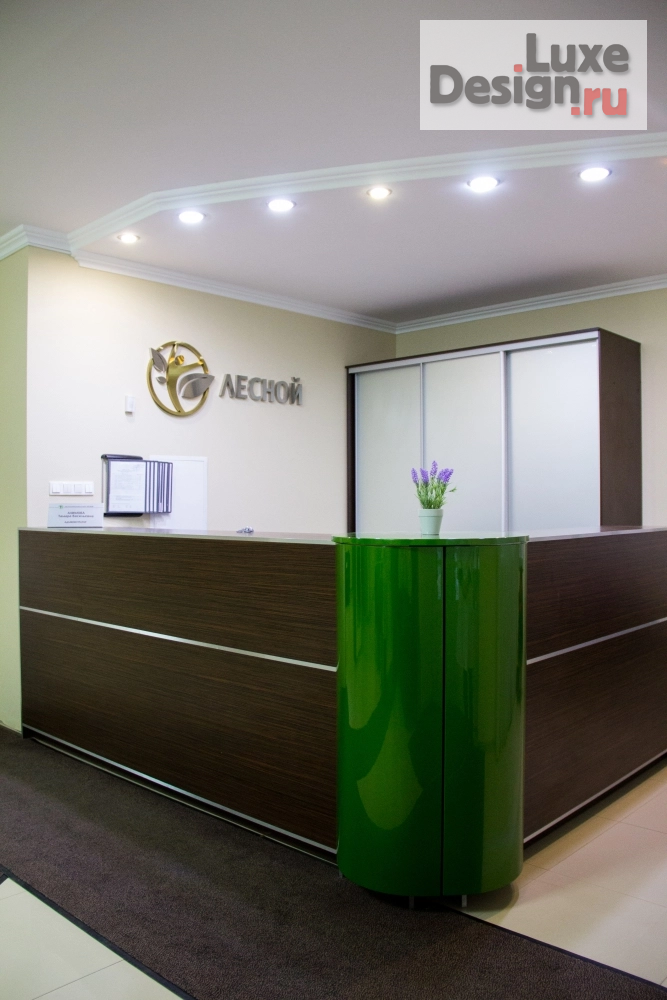 Дизайн интерьера оздоровительного комплекса "Лесной" (фото 4)